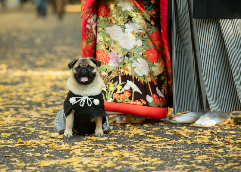 おすましポーズ♪