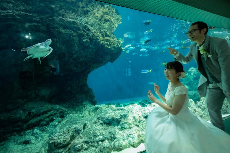 葛西臨海水族園！