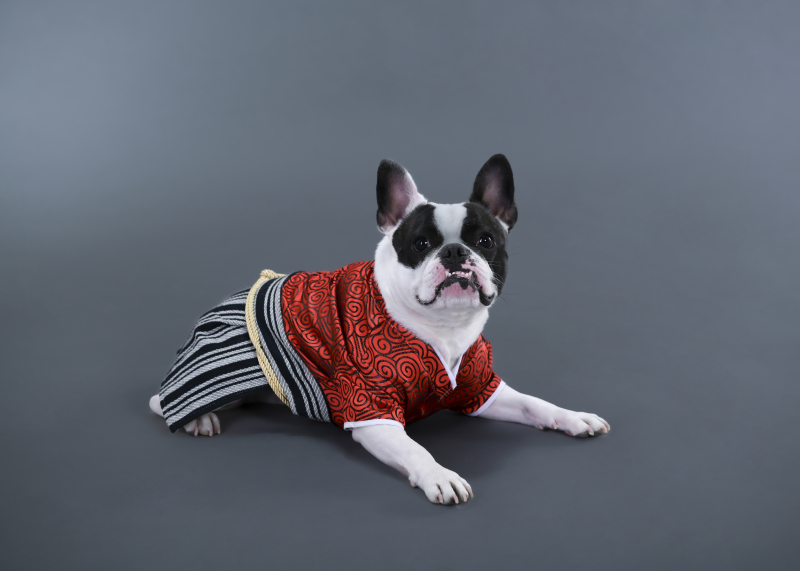 ソロショット♪