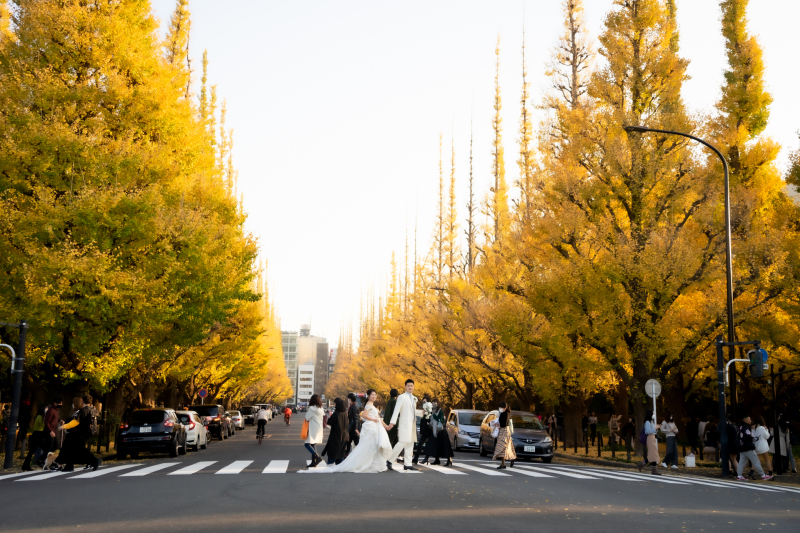 念願の銀杏並木ショット