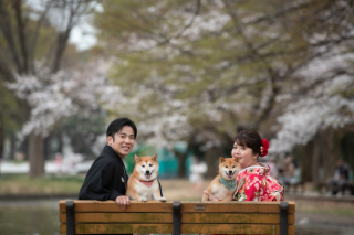 結婚１０周年記念☆わんちゃん達と素敵な想い出フォト！