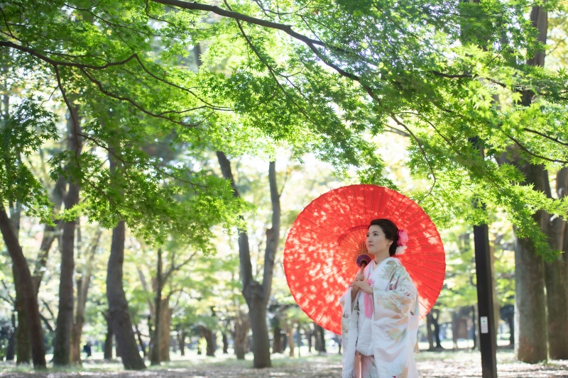 緑の木もあり…!