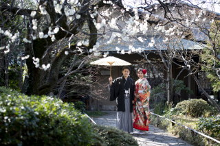 梅の花ロケーション