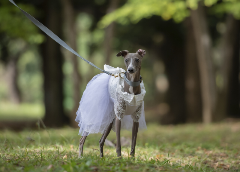 そして、ルナちゃんのソロショット♪
