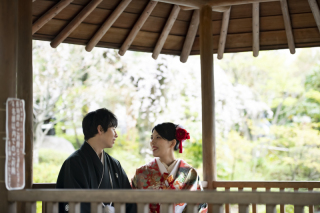 桜ロケーション撮影