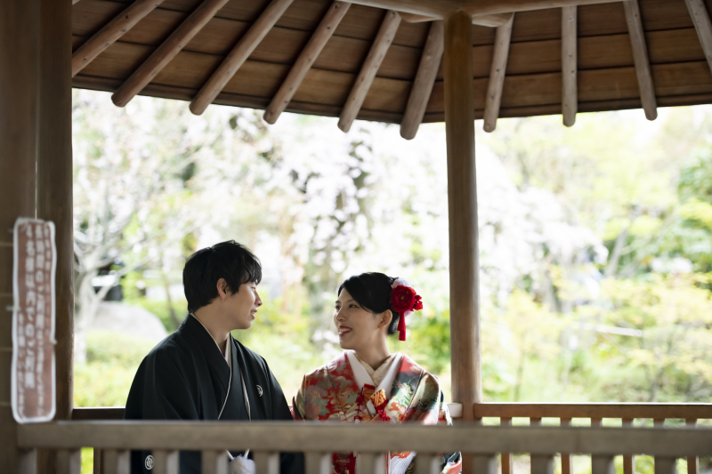 桜ロケーション撮影