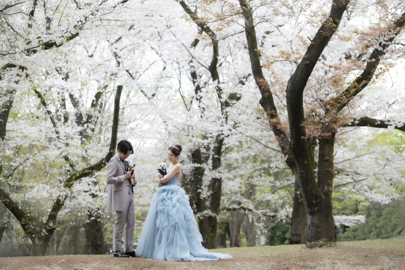 桜をバックに…