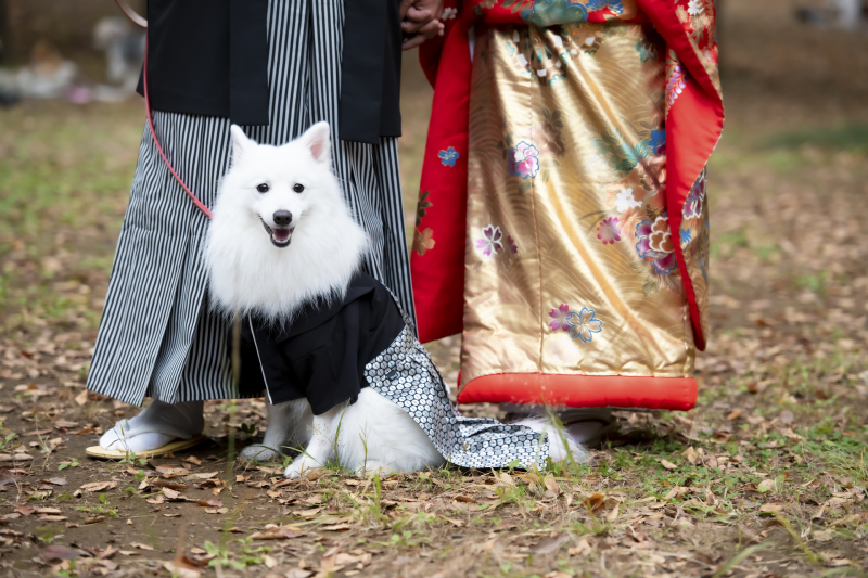 続いては和装にお着替えして…