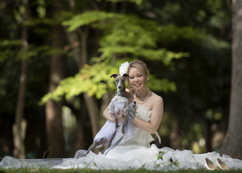 花嫁がふたり♪