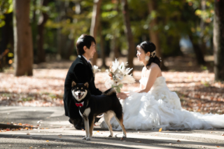 わんちゃんとウエディングフォト♡