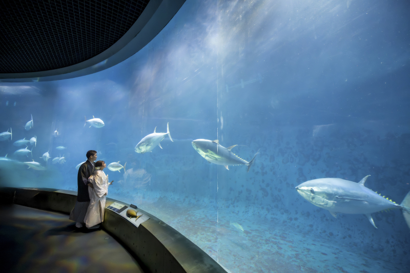 ２つめのロケ地は葛西臨海水族園