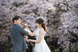念願の桜の時期に愛犬と叶えたウエディングフォト♪