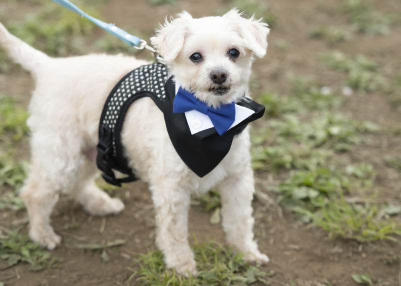 ソロショット★1