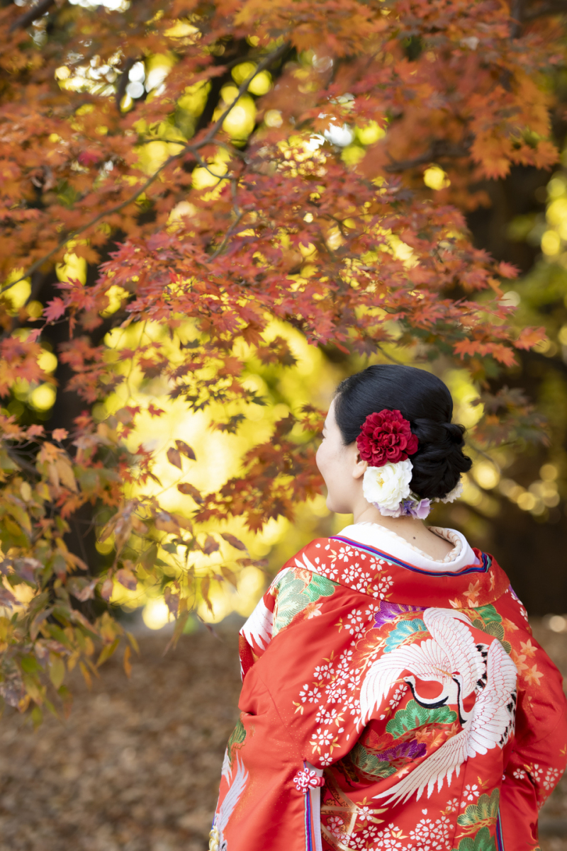 色鮮やかな紅葉と色打掛