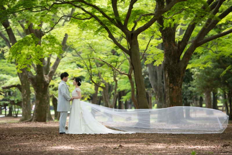 トレーンふわり♡