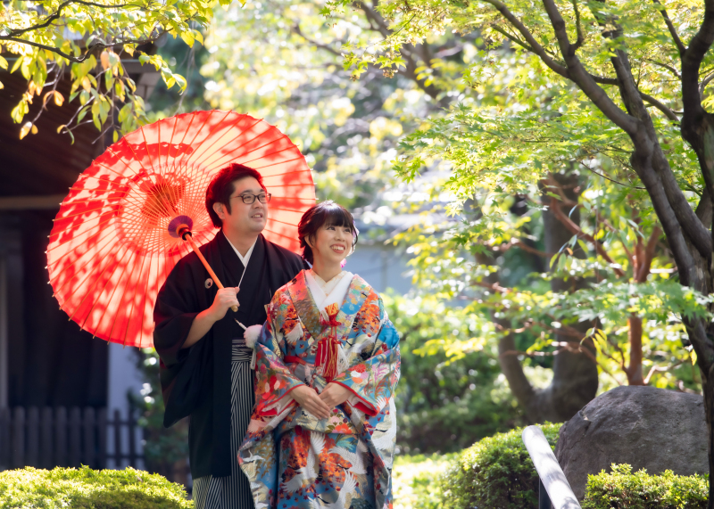 優しい木漏れ日