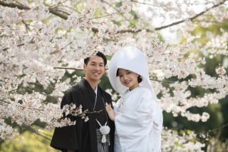 桜満開！春らんまんの昭和記念公園♪