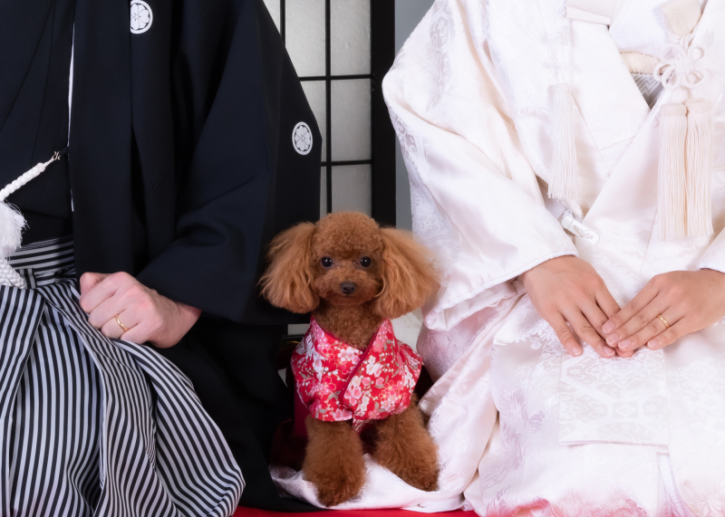 3ショットはカッコよくきめて。