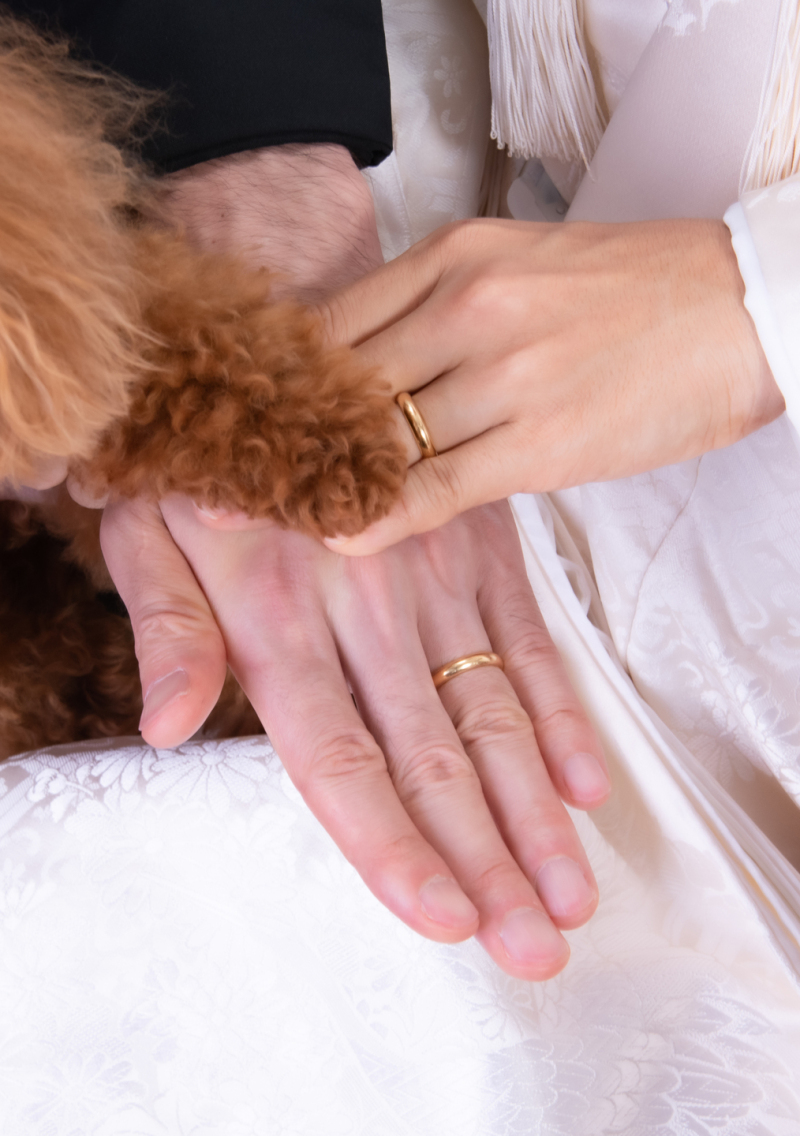 みんなで仲良く手を重ねて