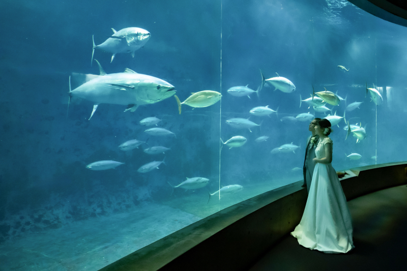 想い出の公園は紅葉時期に、水族園や海の撮影は初夏に！