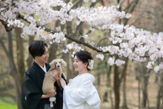 愛犬と一緒に楽しむお花見撮影♪