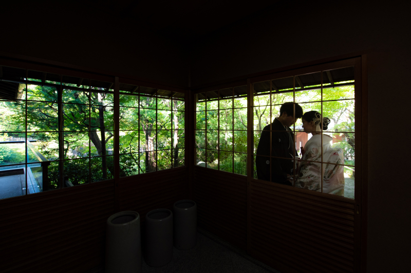 幻想的なシルエット