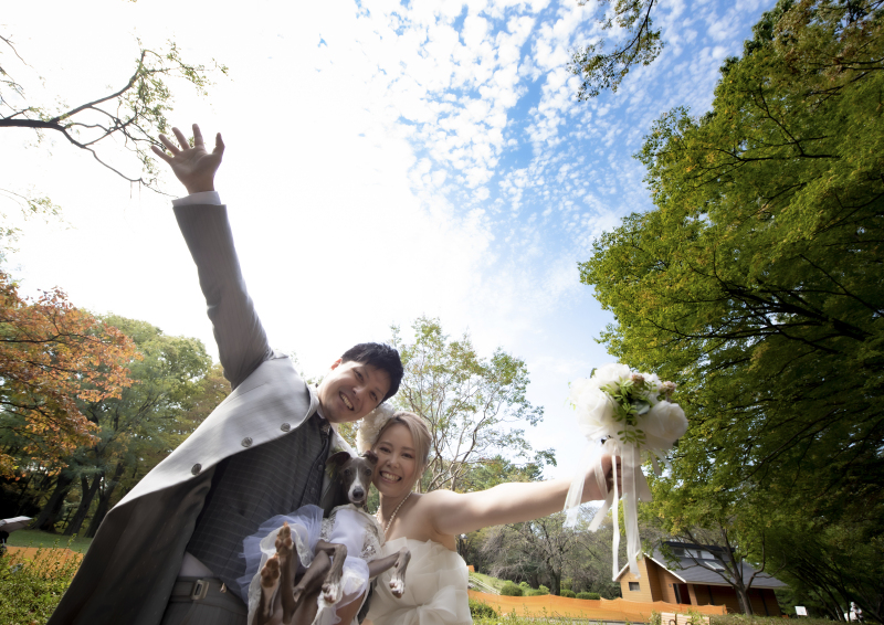 イワシ雲の下で♪