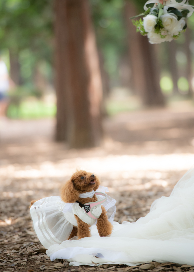 可愛いまなざし♡