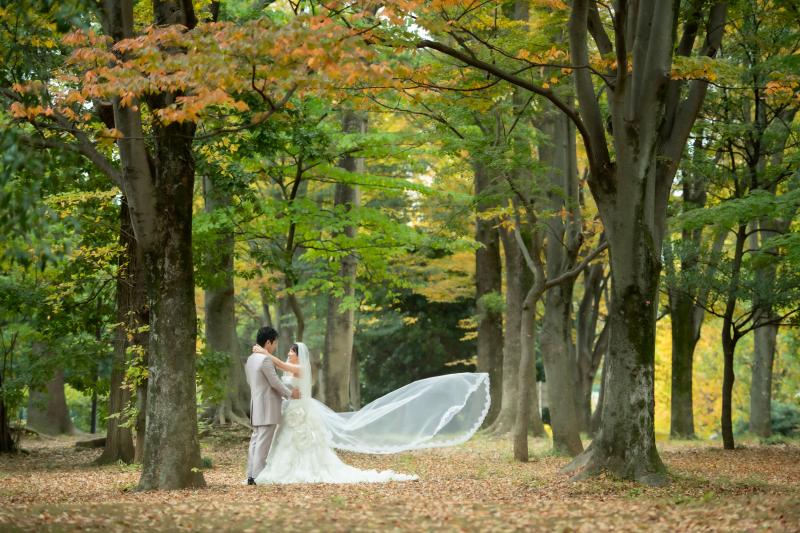 ベールふわり♡