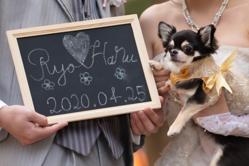 記念日ボード♪