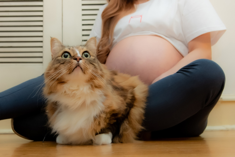 ネコちゃんのソロショット♪