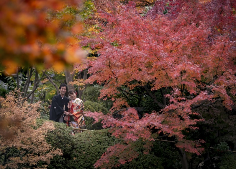 紅葉ショット!