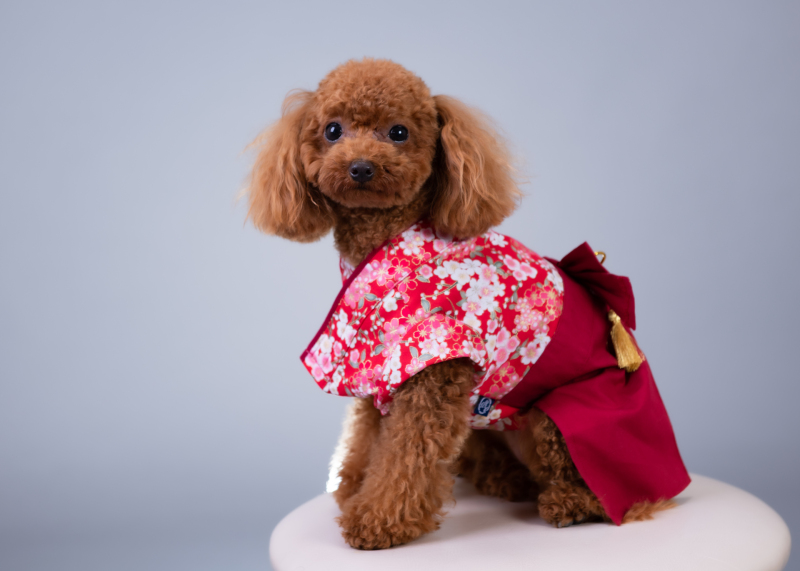 和服姿でハイチーズ⭐︎