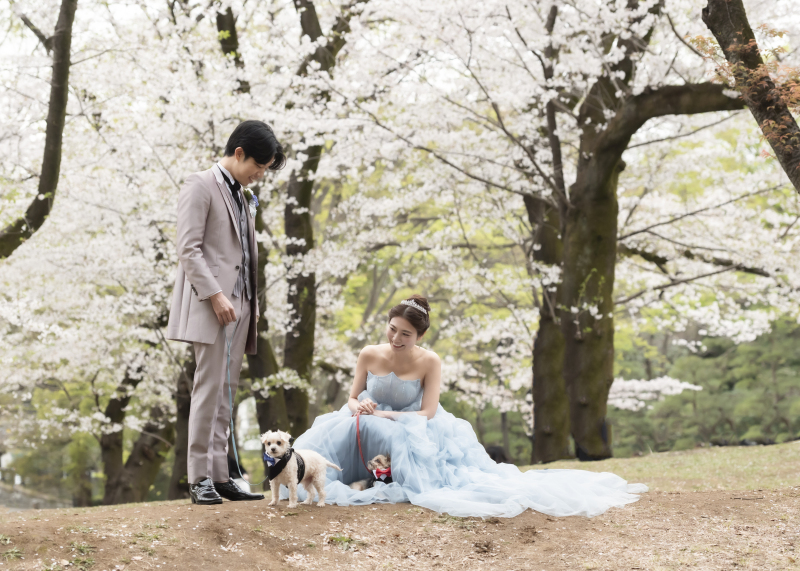 わんちゃんと桜と…全て叶えた1日♪