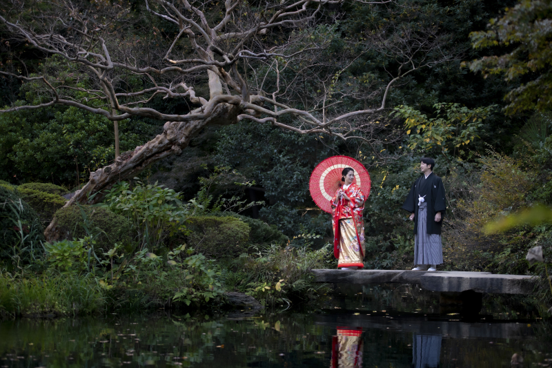 遠くからの撮影！