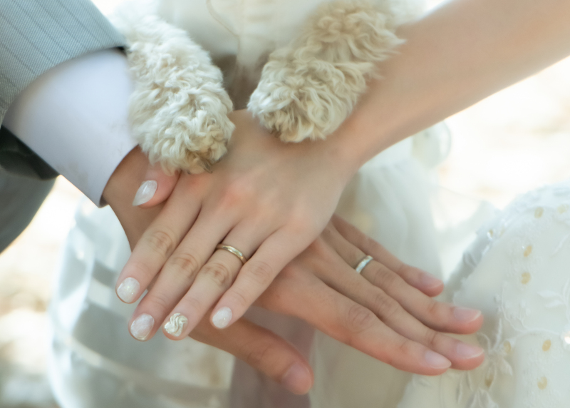 英国風洋館スタジオ【御苑フォトウェディング】_ペットと一緒に撮影できる