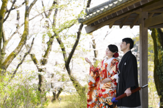 シーズンup料金/ロケーション