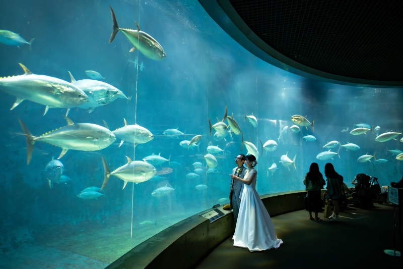 Point1 多彩な撮影シーン