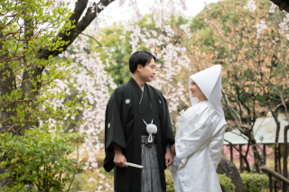 英国風洋館スタジオ【御苑フォトウェディング】_桜シーズン