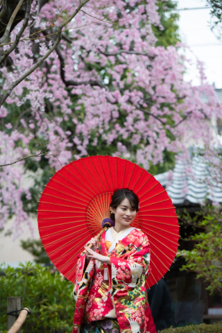 英国風洋館スタジオ【御苑フォトウェディング】_桜シーズン