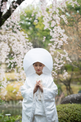 英国風洋館スタジオ【御苑フォトウェディング】_桜シーズン