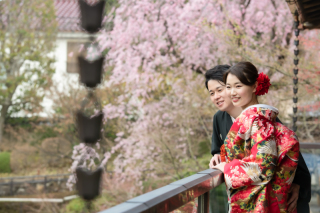 英国風洋館スタジオ【御苑フォトウェディング】_桜シーズン