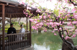 英国風洋館スタジオ【御苑フォトウェディング】_桜シーズン