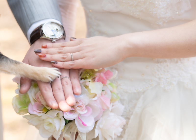 直近割★シーズン料2.2万サービス【紅葉♡代々木公園の洋装プラン】ペットや家族参加OK!衣装グレードアップ無料♪