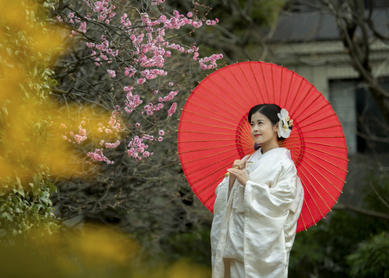 2月末迄の撮影限定!通常オプションの和室撮影サービス【目白庭園+趣ある和室】★衣装UP料金なし!美肌など嬉しい加工付き