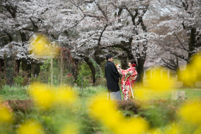 桜！新緑！3.4月撮影限定【家族やペット参加OK★和装代々木公園】シーズン料＆衣装UP無料！美肌などの嬉しい加工付き♪