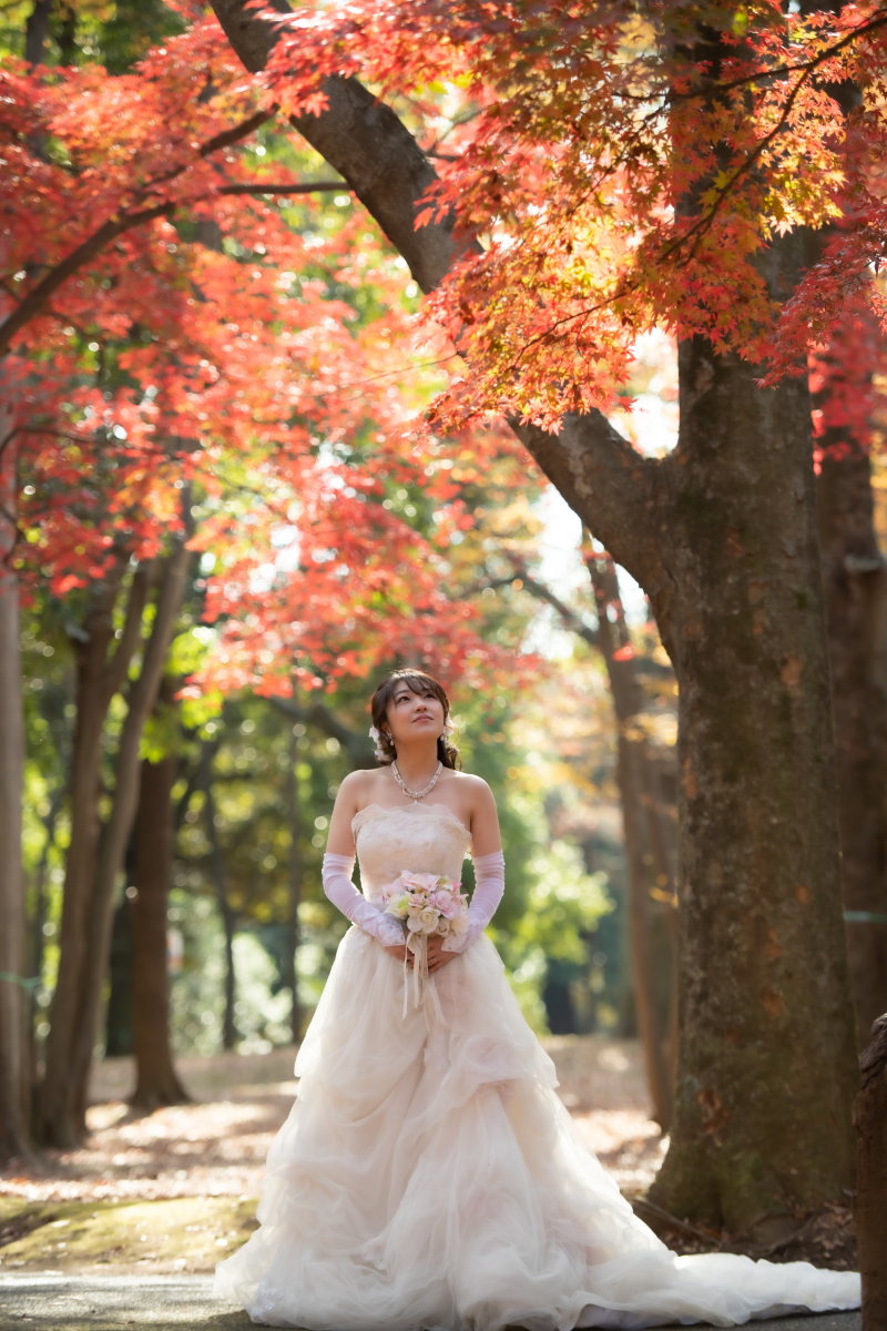 直近割★シーズン料2.2万サービス【紅葉♡代々木公園の洋装プラン】ペットや家族参加OK!衣装グレードアップ無料♪