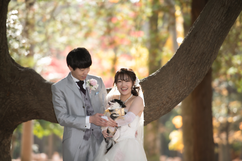 直近割★シーズン料2.2万サービス【紅葉♡代々木公園の洋装プラン】ペットや家族参加OK!衣装グレードアップ無料♪