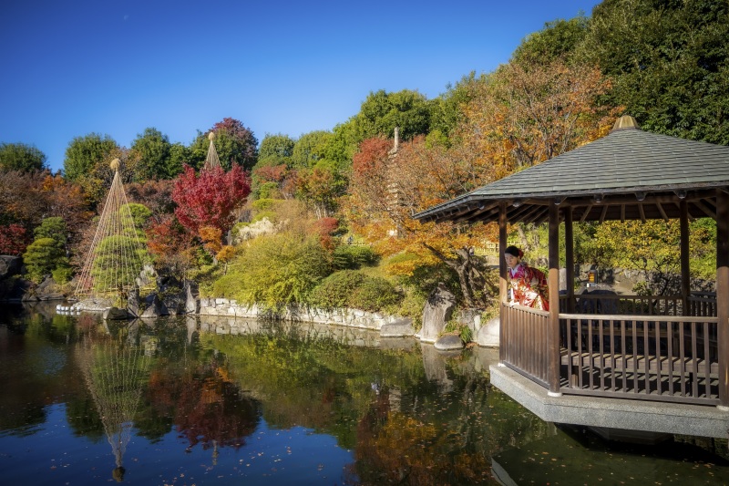 日程限定!早い者勝ち【紅葉♡目白庭園☆和装ロケ】シーズン料&土日祝日料無料!衣装グレードアップ無料♪