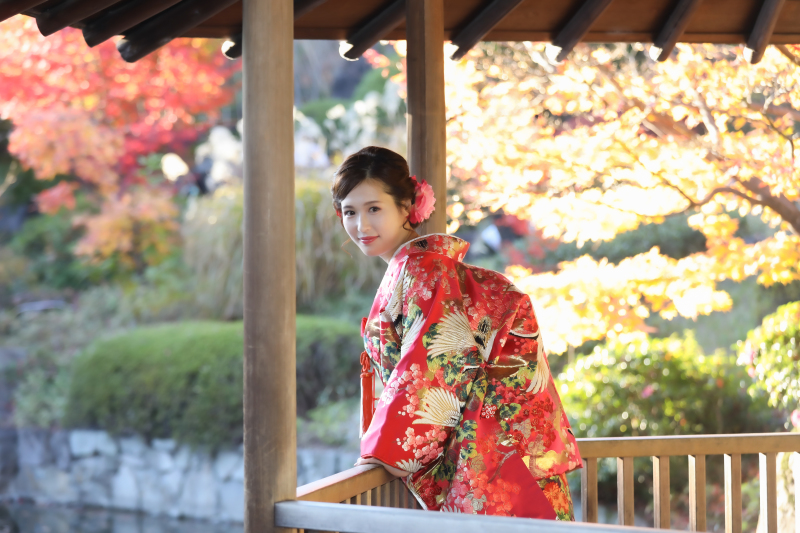 早割★10月11月撮影シーズン料OFF【雨天決行できる!秋の目白庭園+趣ある和室】衣装UP料金なし!